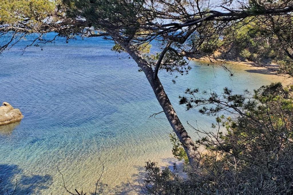 Appartement Dans Residence Avec Piscine La Londe-les-Maures ภายนอก รูปภาพ