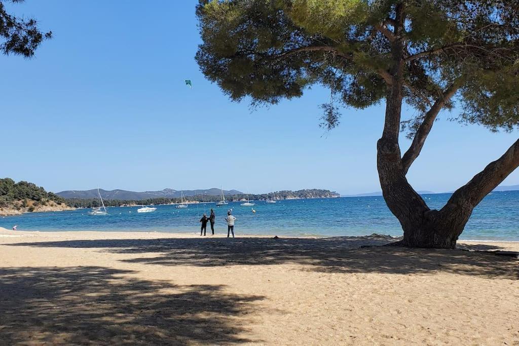 Appartement Dans Residence Avec Piscine La Londe-les-Maures ภายนอก รูปภาพ
